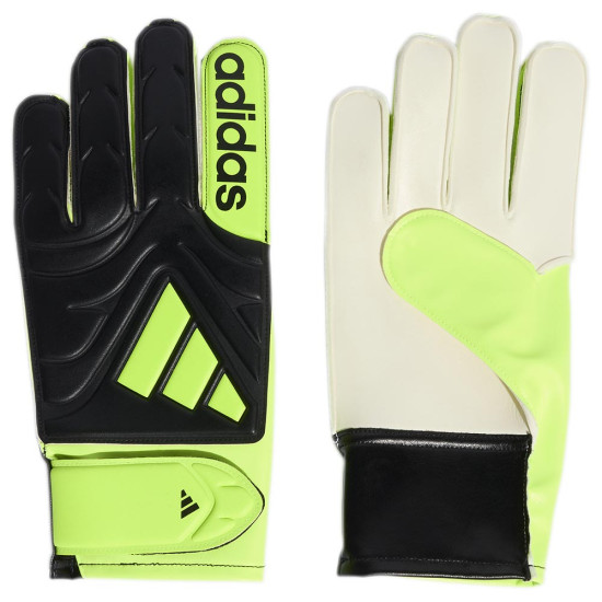 Adidas Γάντια τερματοφύλακα Copa Club Goalkeeper Gloves